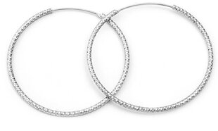 Роскошные круглые серебряные серьги Beneto AGUC787 цена и информация | Серьги | hansapost.ee