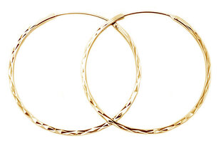 Модные позолоченные круглые серьги из серебра Beneto AGUC2439 / SCS-GOLD цена и информация | Серьги | hansapost.ee
