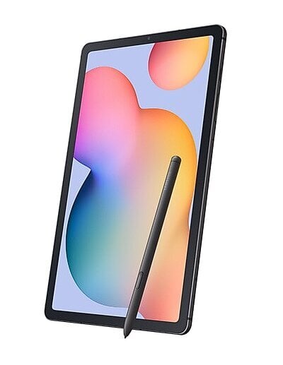 Samsung Galaxy Tab S6 Lite 2024 Gray (SM-P620NZAAEUE) hind ja info | Tahvelarvutid | hansapost.ee