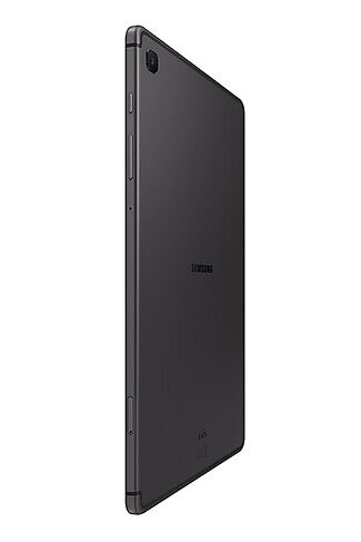 Samsung Galaxy Tab S6 Lite 2024 Gray (SM-P620NZAAEUE) цена и информация | Tahvelarvutid | hansapost.ee