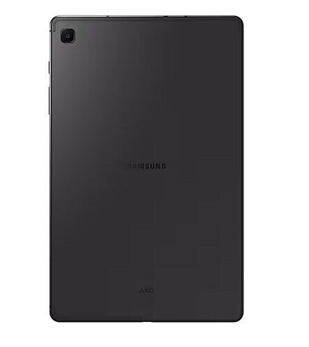 Samsung Galaxy Tab S6 Lite 2024 Gray (SM-P620NZAAEUE) hind ja info | Tahvelarvutid | hansapost.ee