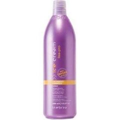 Juuksešampoon rahututele juustele Inebrya Ice Cream Liss Pro Liss Perfect Shampoo, 1000 ml цена и информация | Шампуни | hansapost.ee