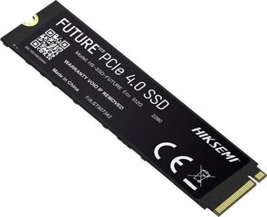 Hiksemi Future Eco (HS-SSD-FUTURE Eco(STD)/2048G/PCIE4/WW) цена и информация | Внутренние жёсткие диски (HDD, SSD, Hybrid) | hansapost.ee