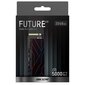 Hiksemi Future Eco (HS-SSD-FUTURE Eco(STD)/2048G/PCIE4/WW) hind ja info | Sisemised kõvakettad | hansapost.ee