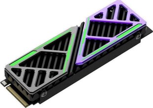Hiksemi FutureX (HS-SSD-FUTUREX(STD)/512G/PCIE4/W) цена и информация | Внутренние жёсткие диски (HDD, SSD, Hybrid) | hansapost.ee