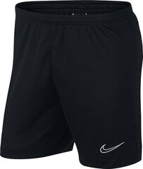 Nike meeste lühikesed püksid, Xl, must hind ja info | Jalgpalli varustus ja riided | hansapost.ee