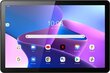 Lenovo Tab M10 3rd Gen Storm Grey (ZAAG0023SE) цена и информация | Tahvelarvutid | hansapost.ee