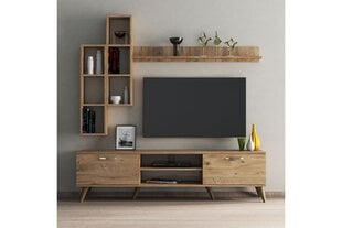 4-osaline elutoa mööblikomplekt Kalune Design TVU0302, pruun цена и информация | Секции | hansapost.ee