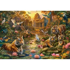 Pusle Castorland Tigers Paradise, 1000 o. цена и информация | Пазлы | hansapost.ee