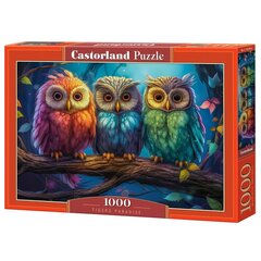 Pusle Castorland Three Little Owls, 1000 d. hind ja info | Pusled lastele ja täiskasvanutele | hansapost.ee