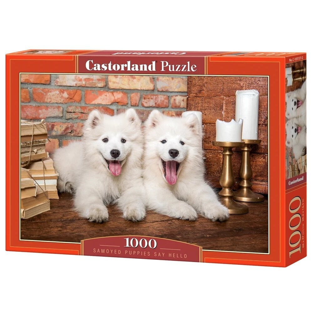 Pusle Castorland Samoyed Puppies Say Hello, 1000 d. hind ja info | Pusled lastele ja täiskasvanutele | hansapost.ee