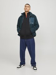 JACK & JONES мужская толстовка 12250737*01, черная цена и информация | Мужские толстовки | hansapost.ee