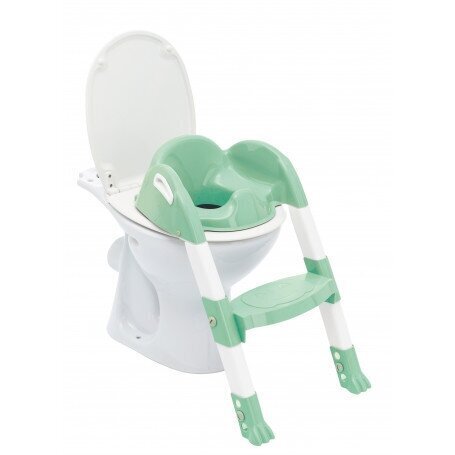 Tualettpotti aste Thermobaby Kiddyloo, Celadon green цена и информация | Laste pissipotid | hansapost.ee