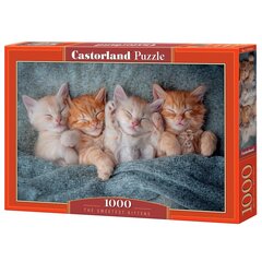 Pusle Castorland The Sweetest Kittens, 1000 o. hind ja info | Pusled lastele ja täiskasvanutele | hansapost.ee