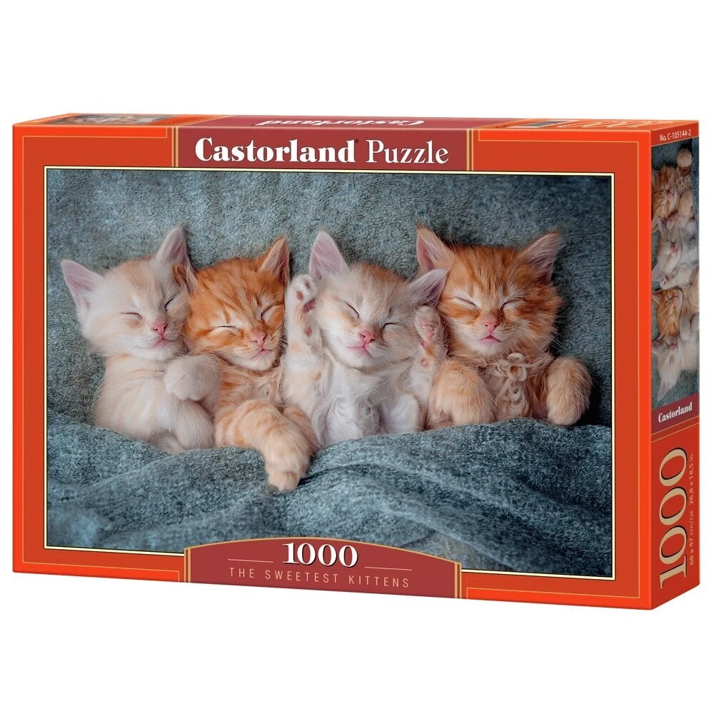 Pusle Castorland The Sweetest Kittens, 1000 o. цена и информация | Pusled lastele ja täiskasvanutele | hansapost.ee