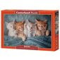 Pusle Castorland The Sweetest Kittens, 1000 o. цена и информация | Pusled lastele ja täiskasvanutele | hansapost.ee