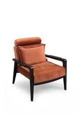 Tugitool Hanah Home Apollo, pruun цена и информация | Кресла для отдыха | hansapost.ee