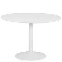 Laud Aatrium Taco, 160x110x74 cm, valge hind ja info | Köögilauad, söögilauad | hansapost.ee