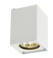 SLV потолочный светильник Altra Dice 162340 цена и информация | Потолочные светильники | hansapost.ee