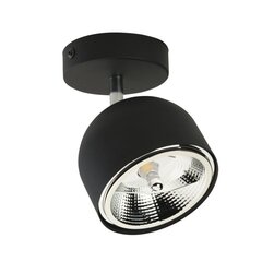 TK Lighting laelamp Altea hind ja info | Laelambid | hansapost.ee