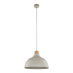 TK Lighting подвесной светильник Cap цена и информация | Потолочный светильник, 38 x 38 x 24 см | hansapost.ee