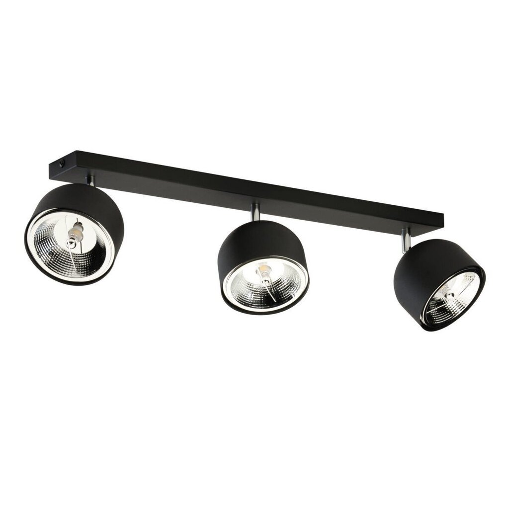 TK Lighting laevalgusti Altea hind ja info | Laelambid | hansapost.ee