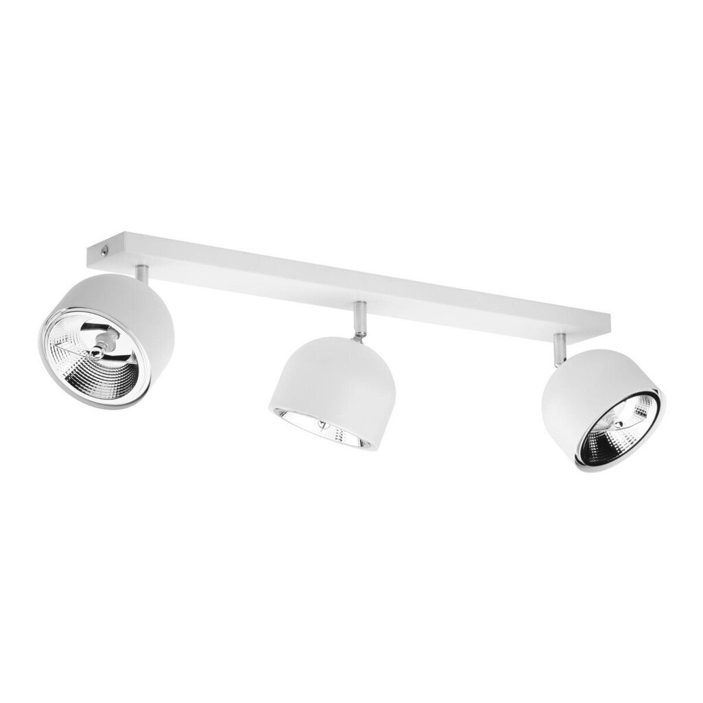 TK Lighting laevalgusti Altea hind ja info | Laelambid | hansapost.ee