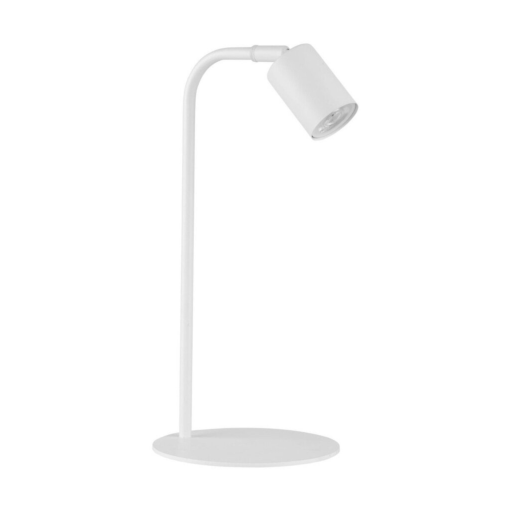 TK Lighting laualamp Logan hind ja info | Laualambid | hansapost.ee