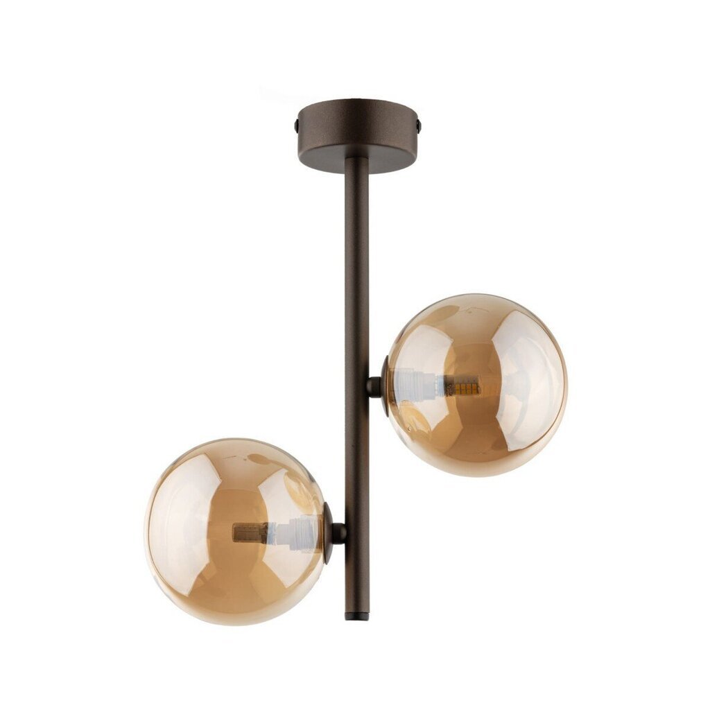 TK Lighting laevalgusti Estera hind ja info | Laelambid | hansapost.ee