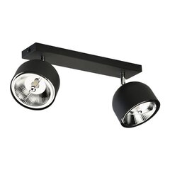 TK Lighting laevalgusti Altea hind ja info | Laelambid | hansapost.ee