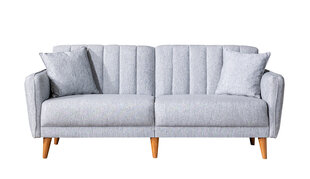 2-х частный гостиная мебельный комплект Asir Aqua-TKM03-1008, серый цена и информация | Комплекты мягкой мебели | hansapost.ee
