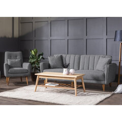 2-х частный комплект мебели для гостиной Asir Aqua-TKM04-94216 цена и информация | Комплекты мягкой мебели | hansapost.ee