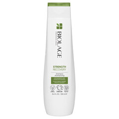 Šampoon Matrix Biolage Strength Recovery, 250 ml price and information | Shampoos | hansapost.ee