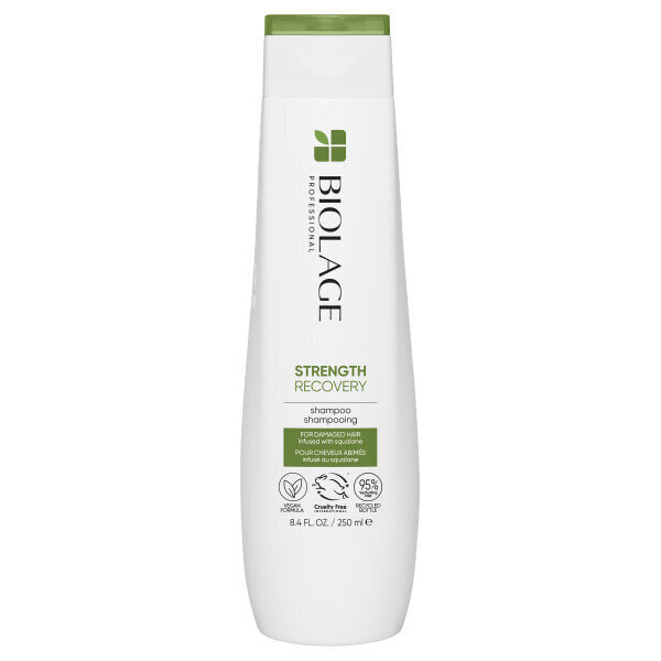 Šampoon Matrix Biolage Strength Recovery, 250 ml hind ja info | Šampoonid | hansapost.ee