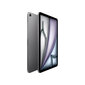 iPad Air 11" M2 Wi-Fi 128GB - Space Grey - MUWC3HC/A цена и информация | Tahvelarvutid | hansapost.ee