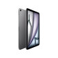 iPad Air 11" M2 Wi-Fi 256GB - Space Grey - MUWG3HC/A hind ja info | Tahvelarvutid | hansapost.ee