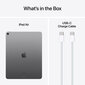 iPad Air 13" M2 Wi-Fi + Cellular 256GB - Space Grey - MV6V3HC/A цена и информация | Tahvelarvutid | hansapost.ee