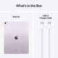 iPad Air 13" M2 Wi-Fi + Cellular 128GB - Purple - MV6U3HC/A hind ja info | Tahvelarvutid | hansapost.ee