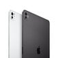 iPad Pro 11" M4 Wi-Fi 256GB with Standard glass - Silver - MVV93HC/A hind ja info | Tahvelarvutid | hansapost.ee