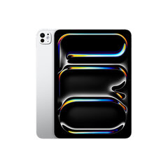iPad Pro 11" M4 Wi-Fi 256GB with Standard glass - Silver - MVV93HC/A цена и информация | Tahvelarvutid | hansapost.ee
