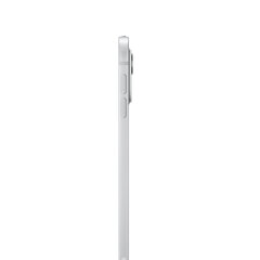 iPad Pro 11" M4 Wi-Fi 512GB with Standard glass - Silver - MVVD3HC/A hind ja info | Tahvelarvutid | hansapost.ee
