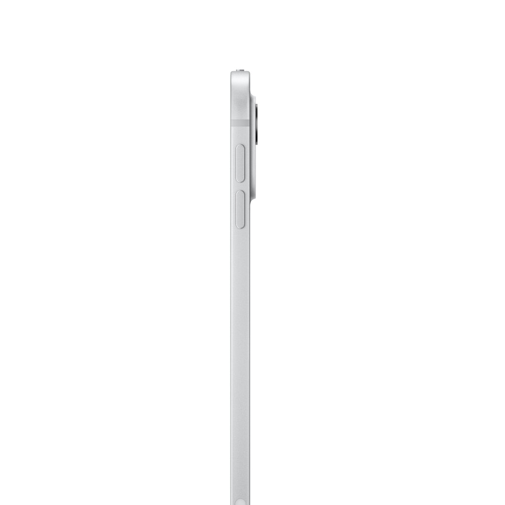 iPad Pro 11" M4 Wi-Fi 512GB with Standard glass - Silver - MVVD3HC/A цена и информация | Tahvelarvutid | hansapost.ee
