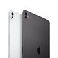iPad Pro 11" M4 Wi-Fi 512GB with Standard glass - Silver - MVVD3HC/A цена и информация | Tahvelarvutid | hansapost.ee
