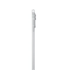 iPad Pro 11" M4 Wi-Fi 2TB with Standard glass - Silver - MVVH3HC/A price and information | Tahvelarvutid | hansapost.ee