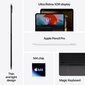 iPad Pro 11" M4 Wi-Fi 2TB with Standard glass - Silver - MVVH3HC/A hind ja info | Tahvelarvutid | hansapost.ee