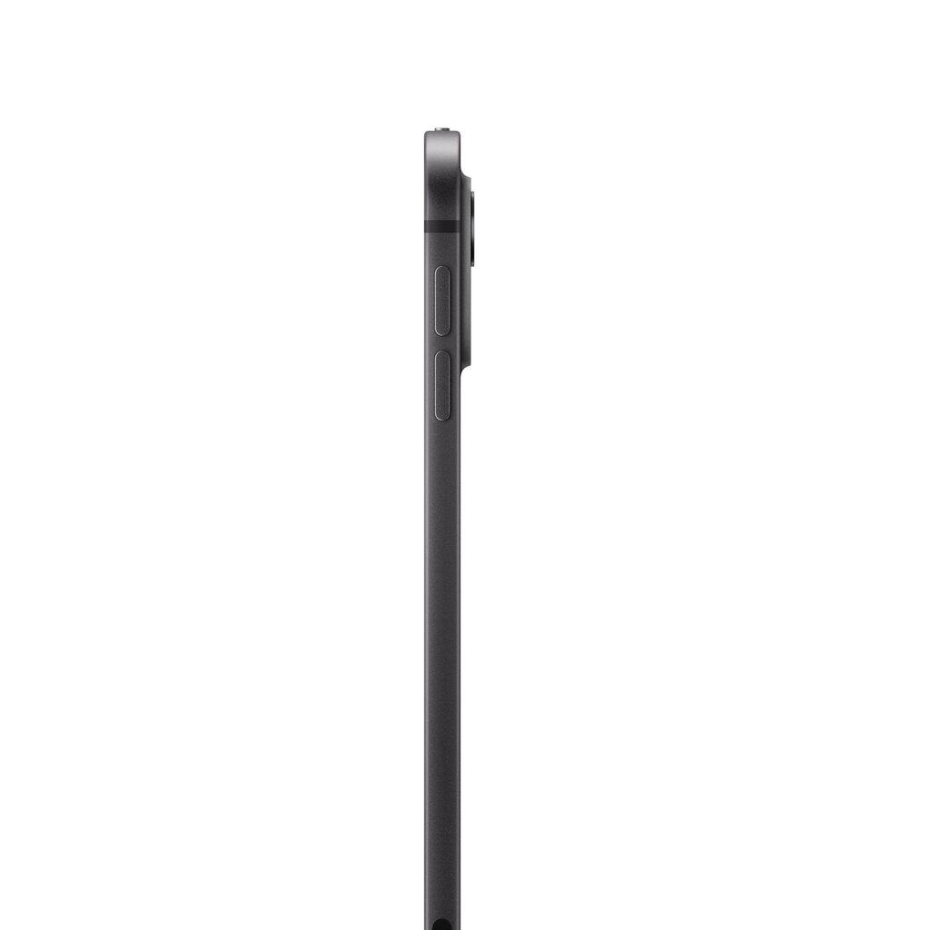 iPad Pro 11" M4 Wi-Fi 2TB with Standard glass - Space Black - MVVG3HC/A цена и информация | Tahvelarvutid | hansapost.ee