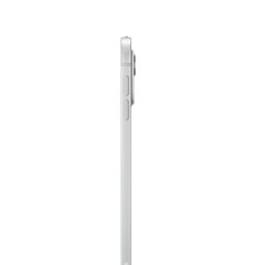 iPad Pro 11" M4 Wi-Fi 2TB with Nano-texture Glass - Silver - MWR93HC/A цена и информация | для планшетов | hansapost.ee