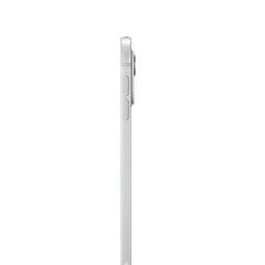 iPad Pro 11" M4 Wi-Fi + Cellular 512GB with Standard glass - Silver - MVW43HC/A цена и информация | Планшеты | hansapost.ee