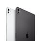 iPad Pro 11" M4 Wi-Fi + Cellular 2TB with Nano-texture Glass - Space Black - MWRR3HC/A hind ja info | Tahvelarvutid | hansapost.ee