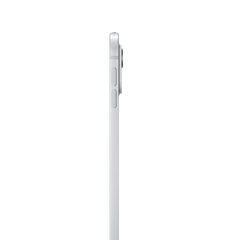 iPad Pro 13" M4 Wi-Fi 256GB with Standard glass - Silver - MVX33HC/A hind ja info | Tahvelarvutid | hansapost.ee